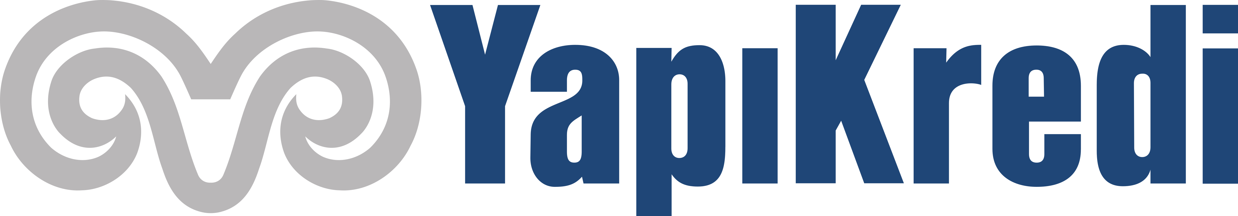 Yapı Kredi – TL
